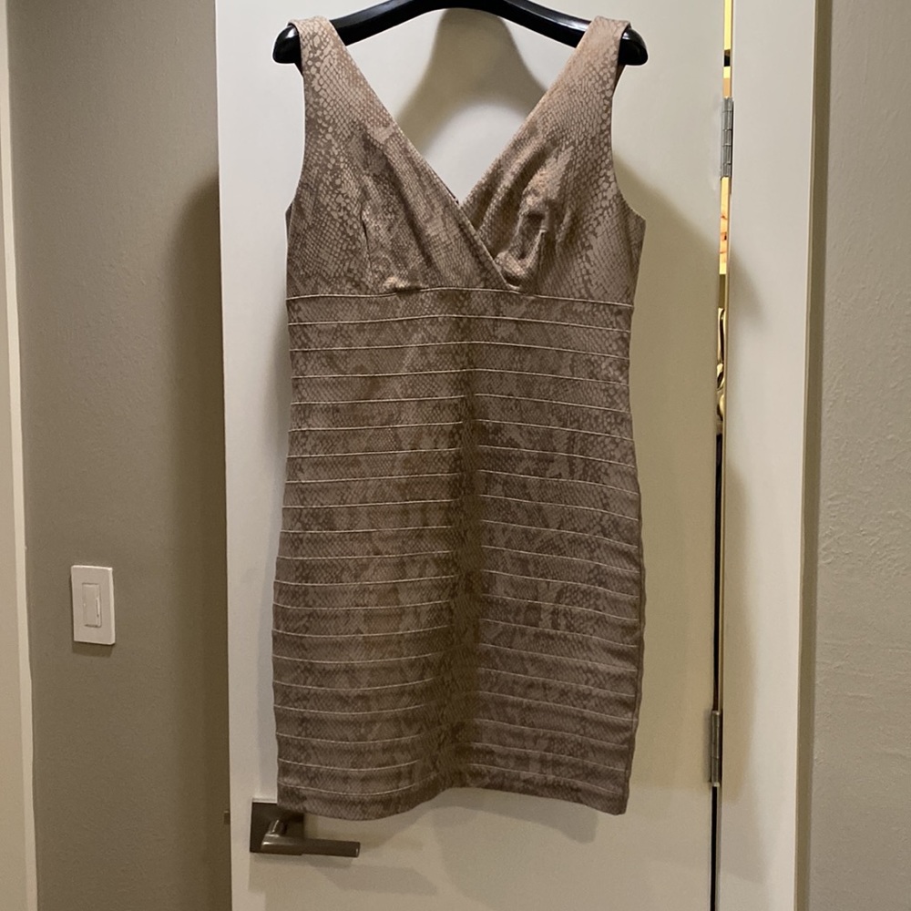 Express Snake Print Dress